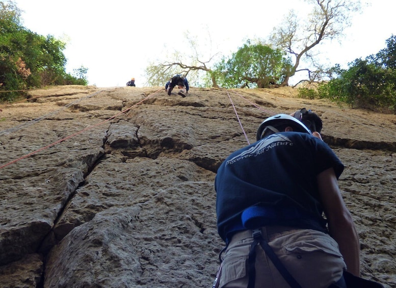 Picture 7 for Activity Arrábida Climbing Experience 5