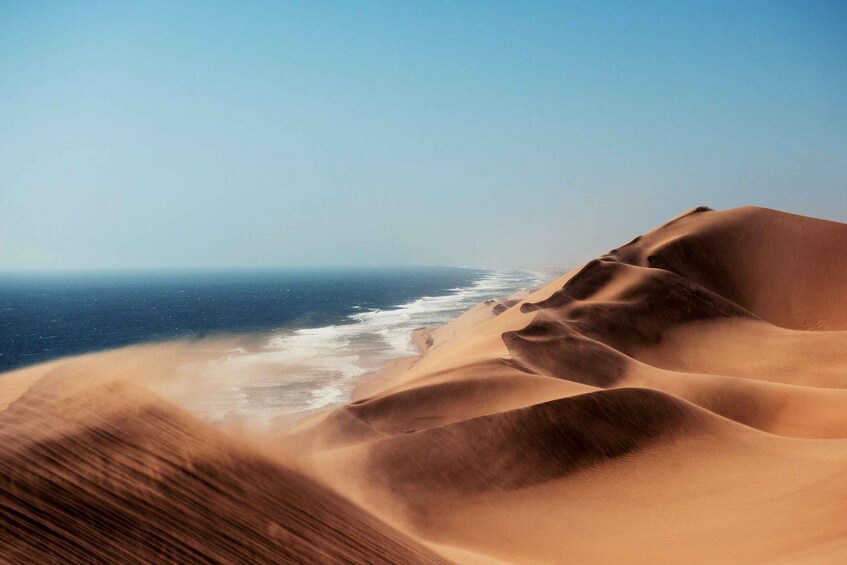 Sand dunes with a view of the ocean. 1