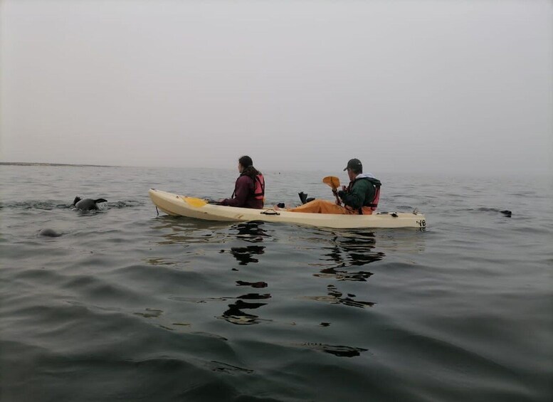 Two people kayaking on calm water. 3