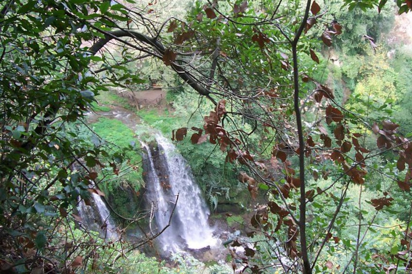 Private Trip to Villa Gregoriana and Hadrian's Villa from Rome 3