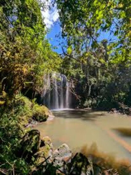 A waterfall in a forested area with a clear sky. 1