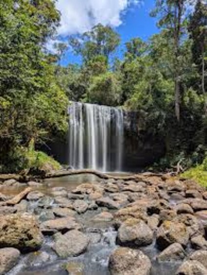 A waterfall surrounded by lush greenery. 4