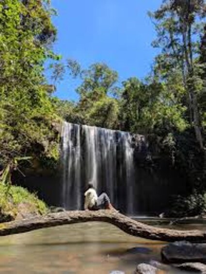 A waterfall, a person sitting on a log, and surrounding greenery. 2