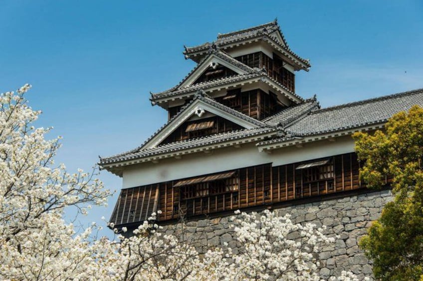A traditional Japanese castle with multiple tiers and wooden structures, surrounded by cherry blossoms. 2