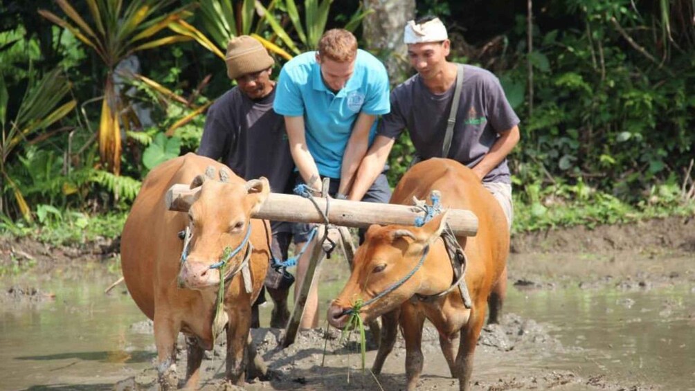 Bali: Hidden Undisan Jungle Trekking & Eco Farm Tour 1