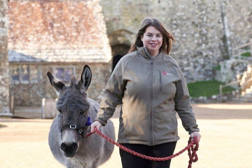 A person leading a donkey. 4