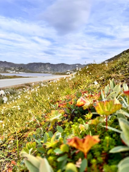 A coastal landscape with a road, grassy areas, and mountains in the background. 4