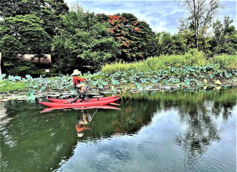 A person in a red kayak on a calm river surrounded by lush greenery and lily pads. 2