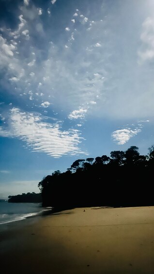 A beach with a clear sky and scattered clouds. 1