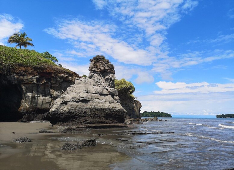 A rocky coastline with a prominent rock formation, a palm tree, and a clear blue sky. 3