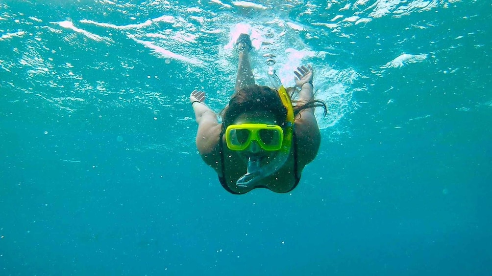 Picture 1 for Activity From Caye Caulker: Marine Reserve Snorkeling Tour 3