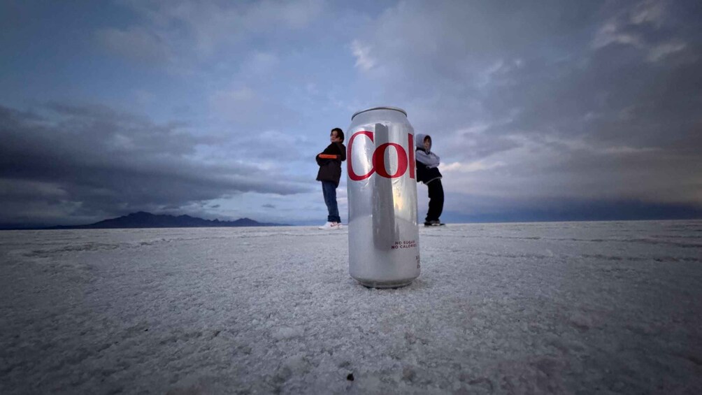 A can of Coca-Cola in a snowy landscape with mountains in the background. 5