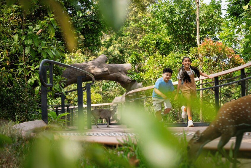 Picture 17 for Activity Singapore: Rainforest Wild Asia Entry Ticket 3