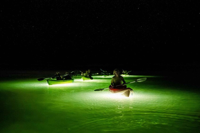 Picture 1 for Activity Bonaire: Night Mangrove Kayak Tour 3