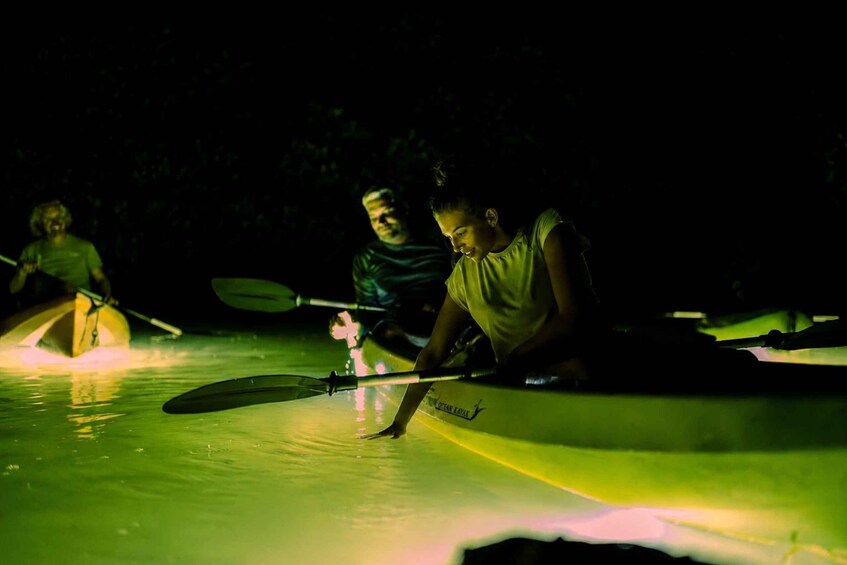 Bonaire: Night Mangrove Kayak Tour 1