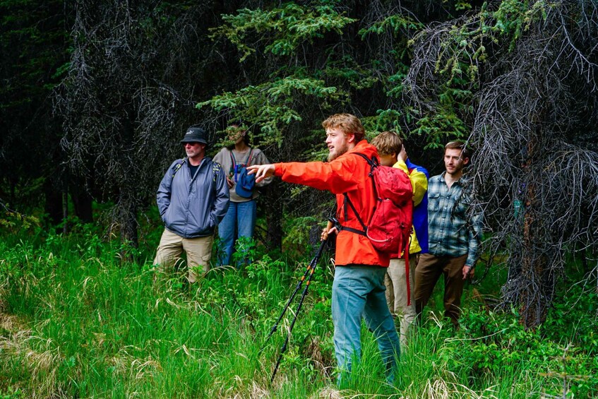 A group of hikers in a forested area with dense vegetation and trees. 1