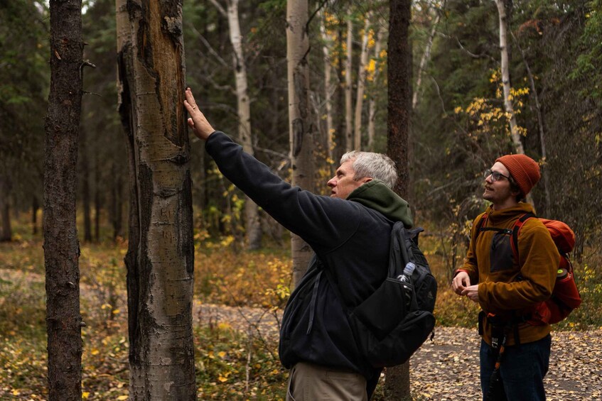 Two people in a forest, one pointing at a tree. 2