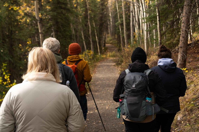 A group of hikers on a forest trail. 3