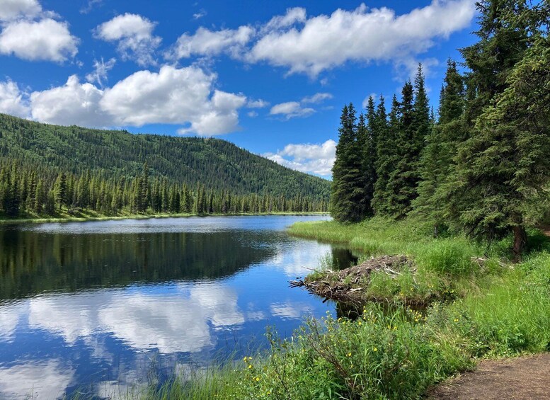 A calm lake surrounded by dense forest and a clear blue sky. 5