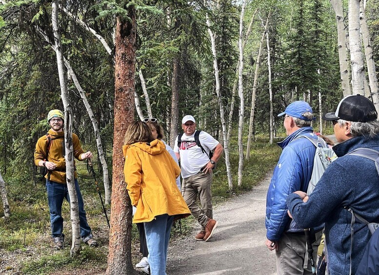 A group of hikers on a forest trail. 4