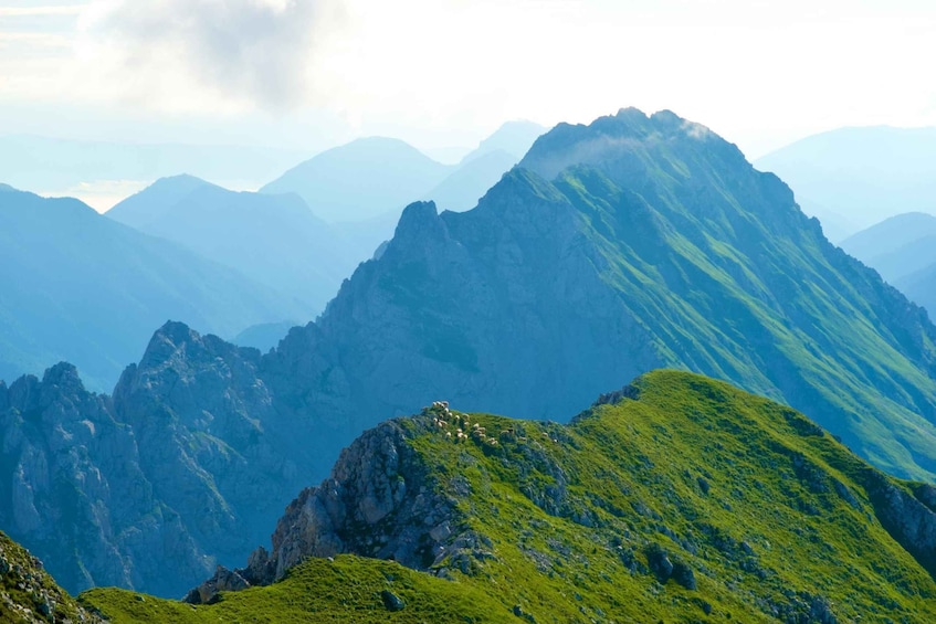 A mountain range with a flock of sheep on a grassy peak. 1