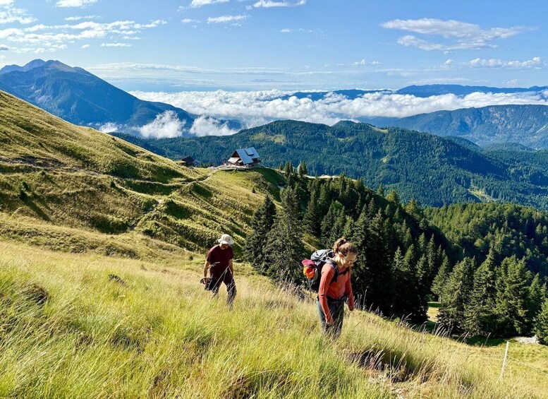 Hikers on a grassy mountain slope with a house in the distance and forested valleys below. 4