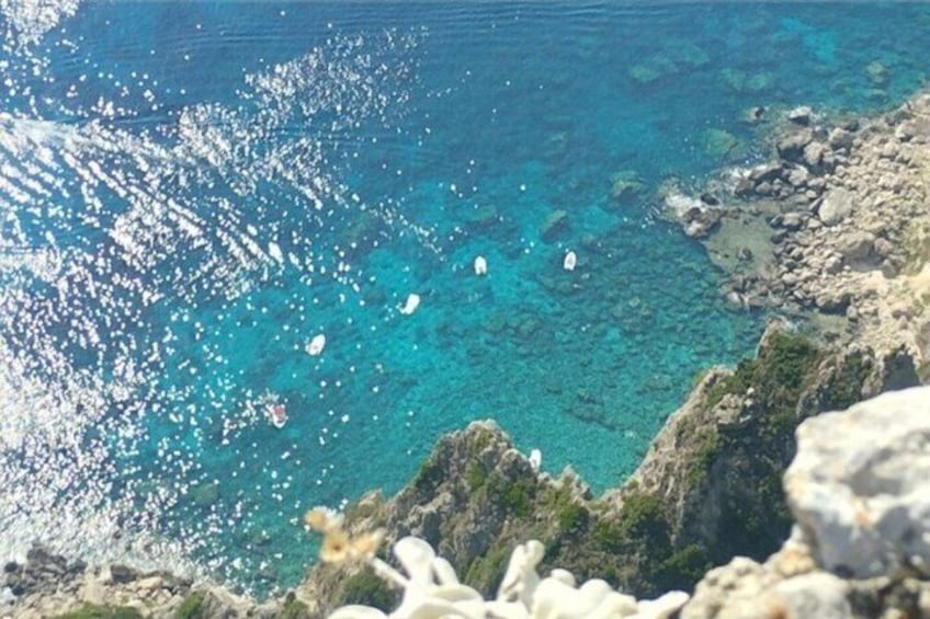 Un paysage côtier caractérisé par une eau turquoise et limpide, des affleurements rocheux et des fleurs blanches. 5