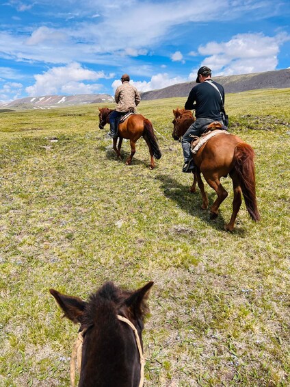 Three people riding horses across a grassy field with mountains in the background. 5