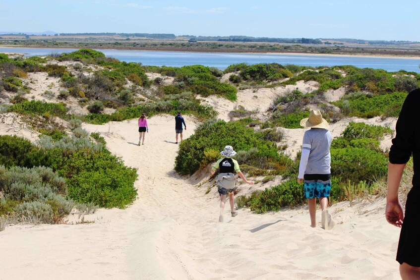 A group of people hiking on a sandy trail surrounded by greenery. 2