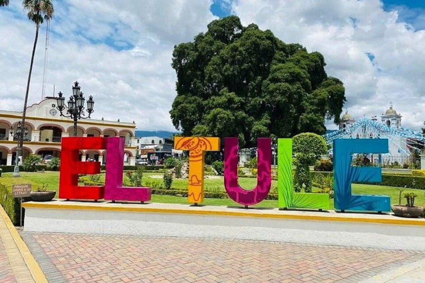 Letras coloridas que deletrean 'ELTUE' en un parque con un árbol grande y un edificio al fondo. 5