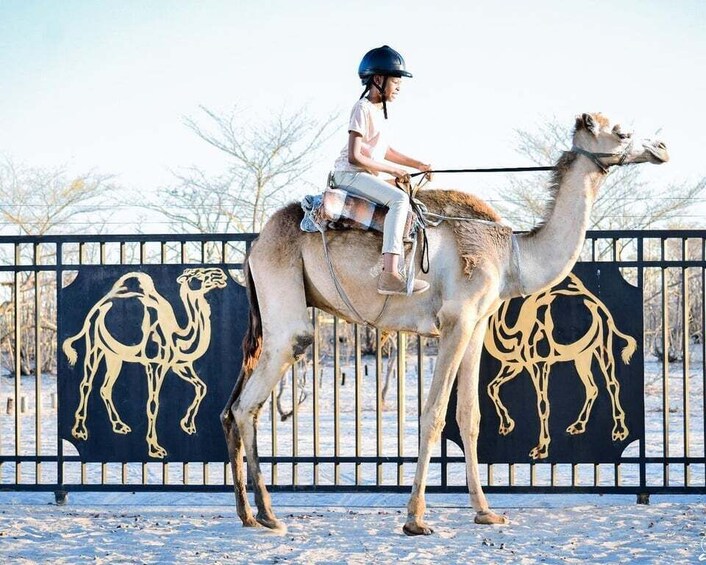 Maun, Botswana: Safari Camel Adventure 2