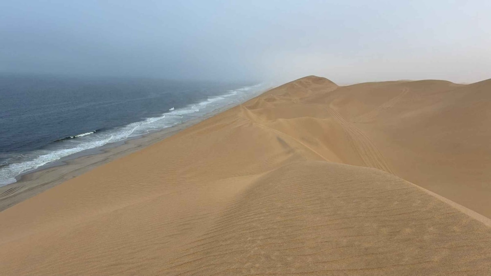 A coastal sand dune landscape with a beach and ocean. 2