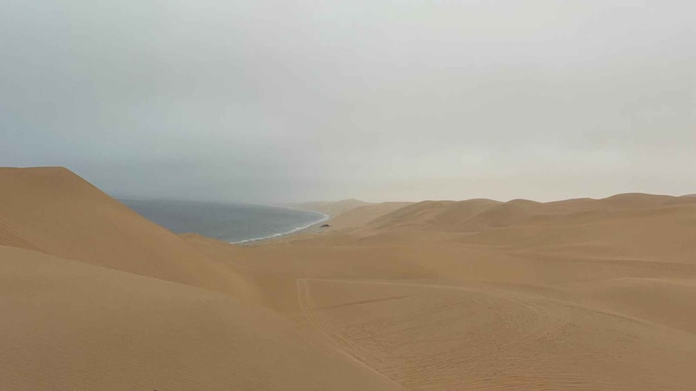 Picture 12 for Activity Walvis Bay: 4-Day Desert, Ocean, and Adventure Tour 4