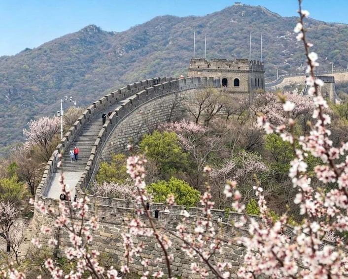 The Great Wall of China with a curved section, cherry blossoms, and mountains in the background. 3