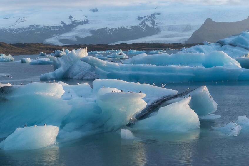 Icebergs in a calm body of water with mountains in the background. 5