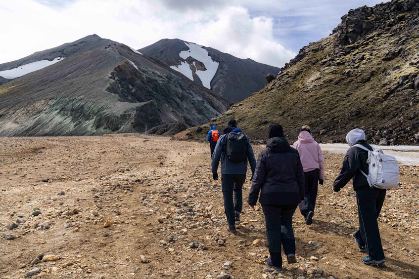 Picture 6 for Activity Landmannalaugar Hike Paradise Small Group Super Jeep Tour 4