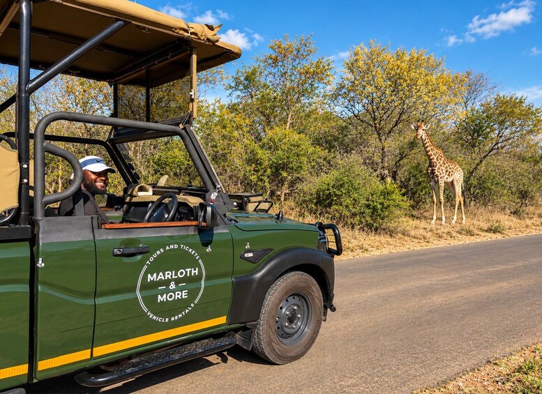 Picture 3 for Activity From Marloth Park: Kruger National Park Walking Safari 4