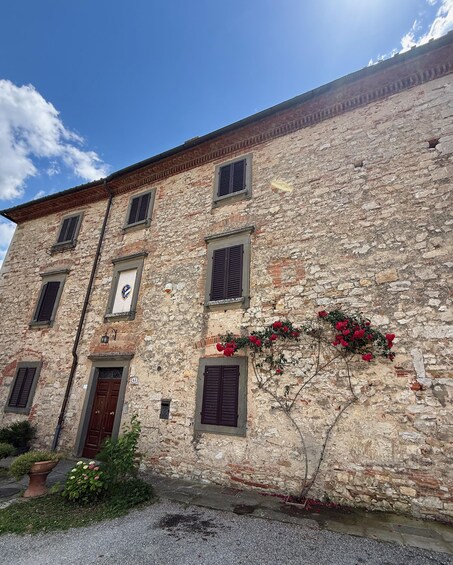 Picture 1 for Activity Chianti: Wine Tasting at an Organic Family-Run Winery 2