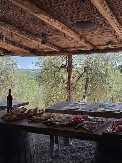 Chianti: Wine Tasting at an Organic Family-Run Winery 1
