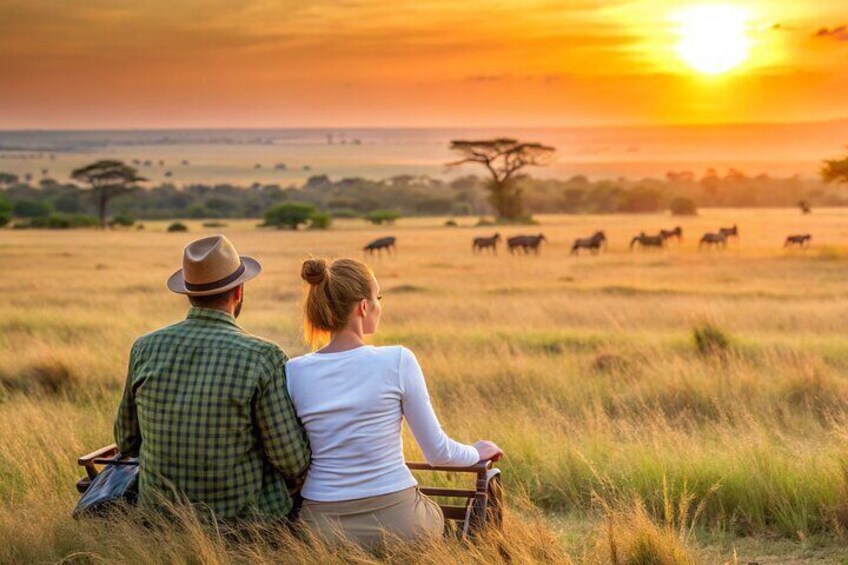 Una pareja sentada en un banco en un campo cubierto de hierba, observando la puesta de sol. 5