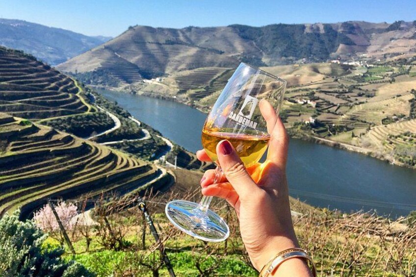 Private Douro Tour with Lunch Wine Tasting Boat and Train Cruise 1