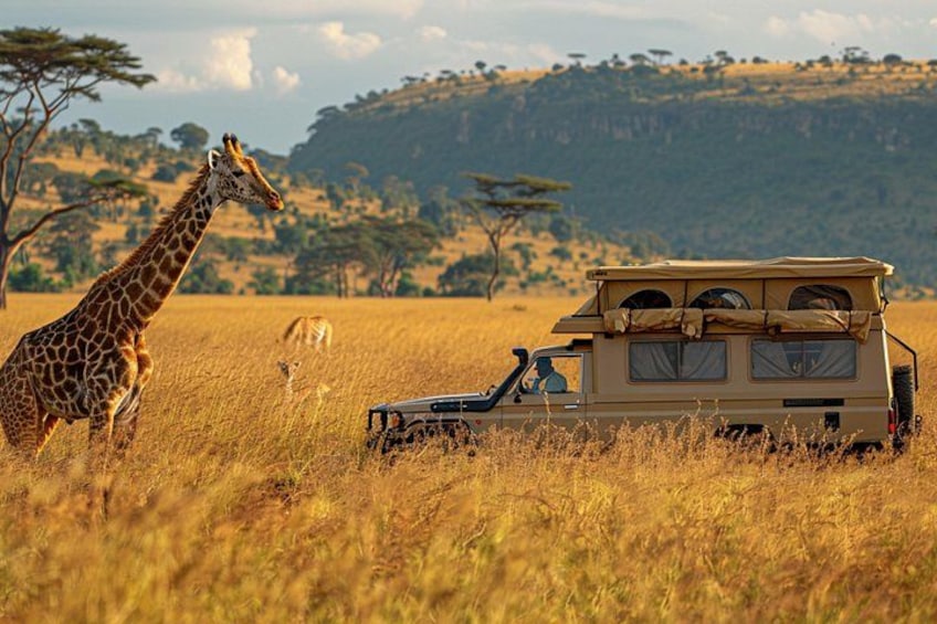Safari bil i en græsmark med en giraf og en zebra i baggrunden. 4