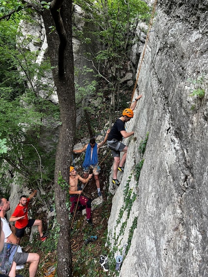 A group of people engaged in rock climbing on a rocky cliff surrounded by trees. 2