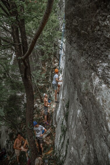 A group of people climbing a rocky cliff in a forested area. 5