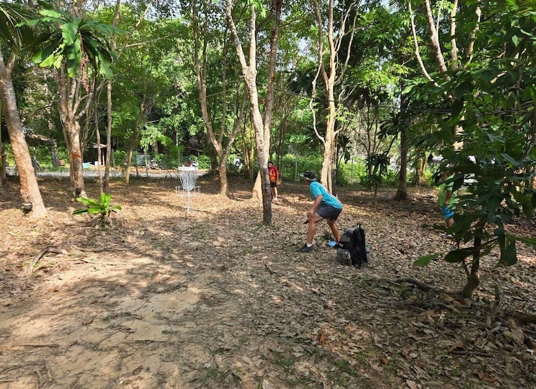 A person playing disc golf in a wooded area with trees and a disc golf basket. 4