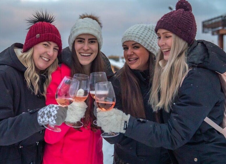Four people toasting with wine glasses in a snowy outdoor setting. 3