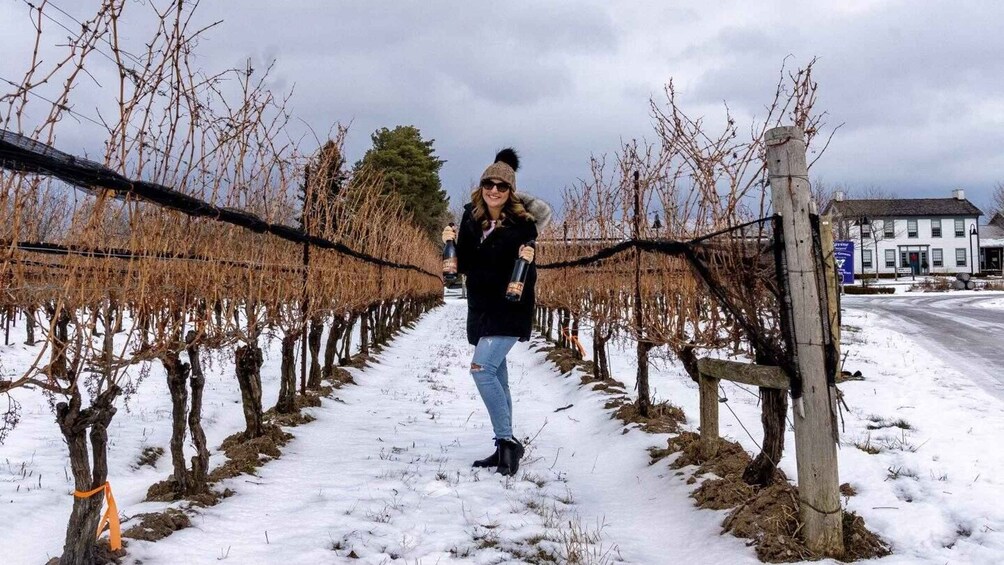 A person standing in a vineyard with bare trees and snow on the ground. 4