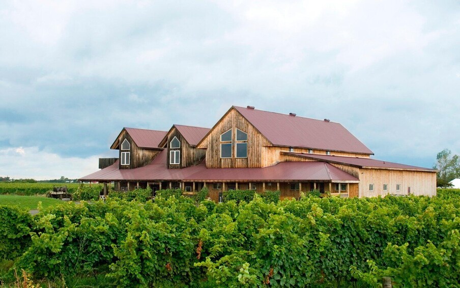 A large wooden building with a red roof, surrounded by lush green vineyards. 3