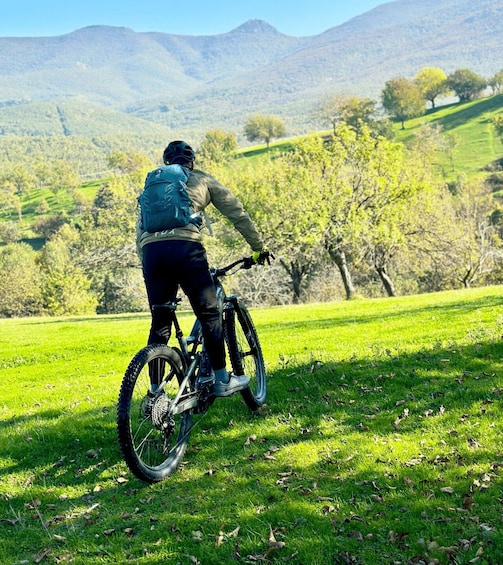 A person riding a mountain bike on a grassy hill with trees and mountains in the background. 1
