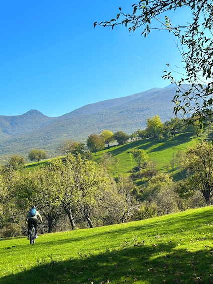 A cyclist on a green hillside with trees and a mountain in the background. 2